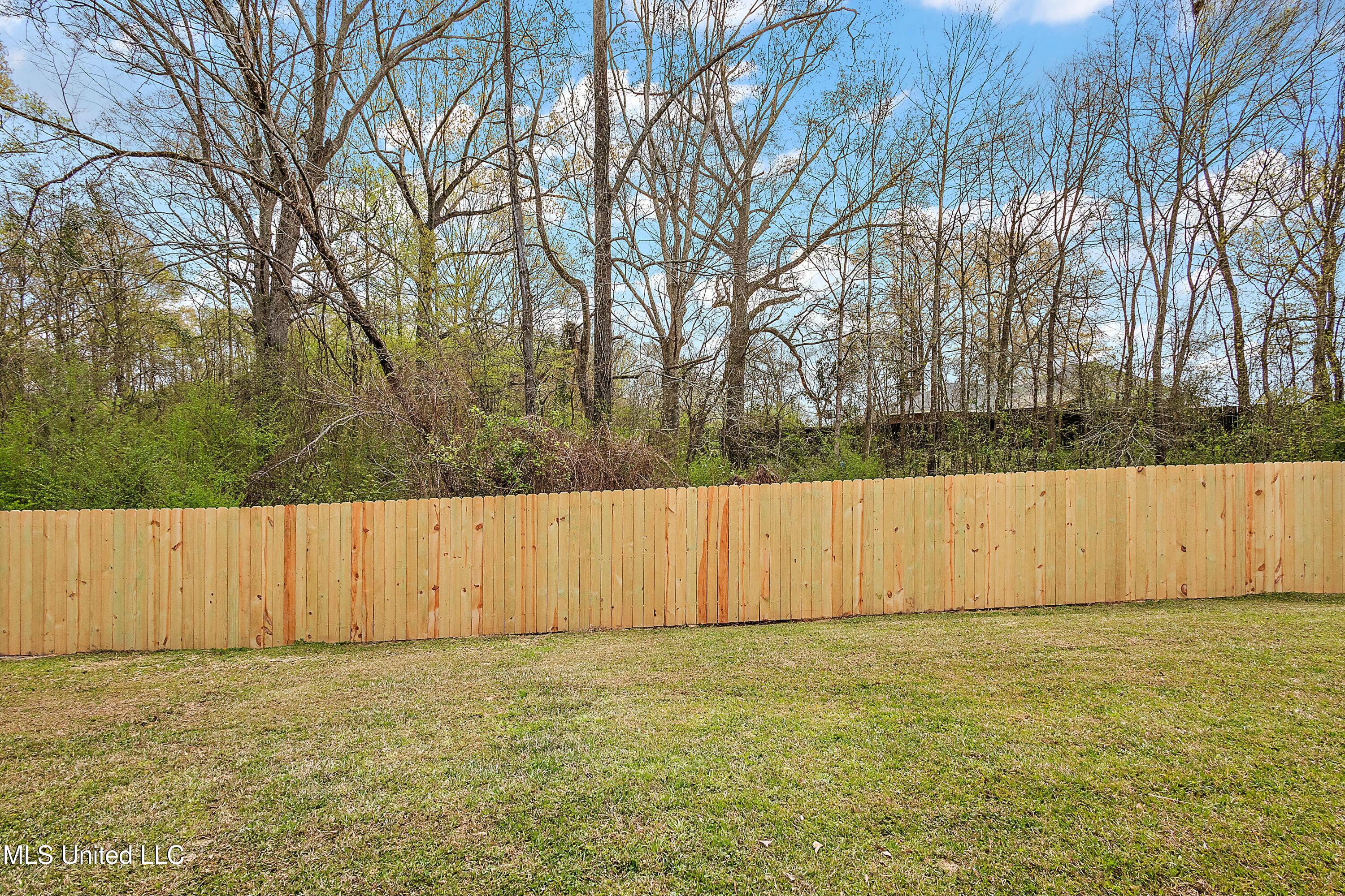 4251 Gunar Drive, Byram, Mississippi image 15