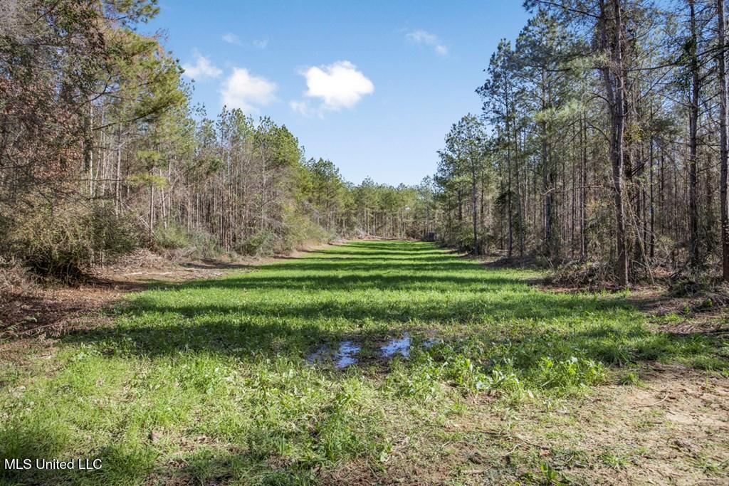 156 A L Williamson Road, Prentiss, Mississippi image 1