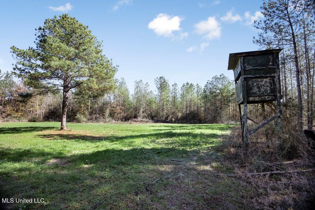 156 A L Williamson Road, Prentiss, Mississippi image 16