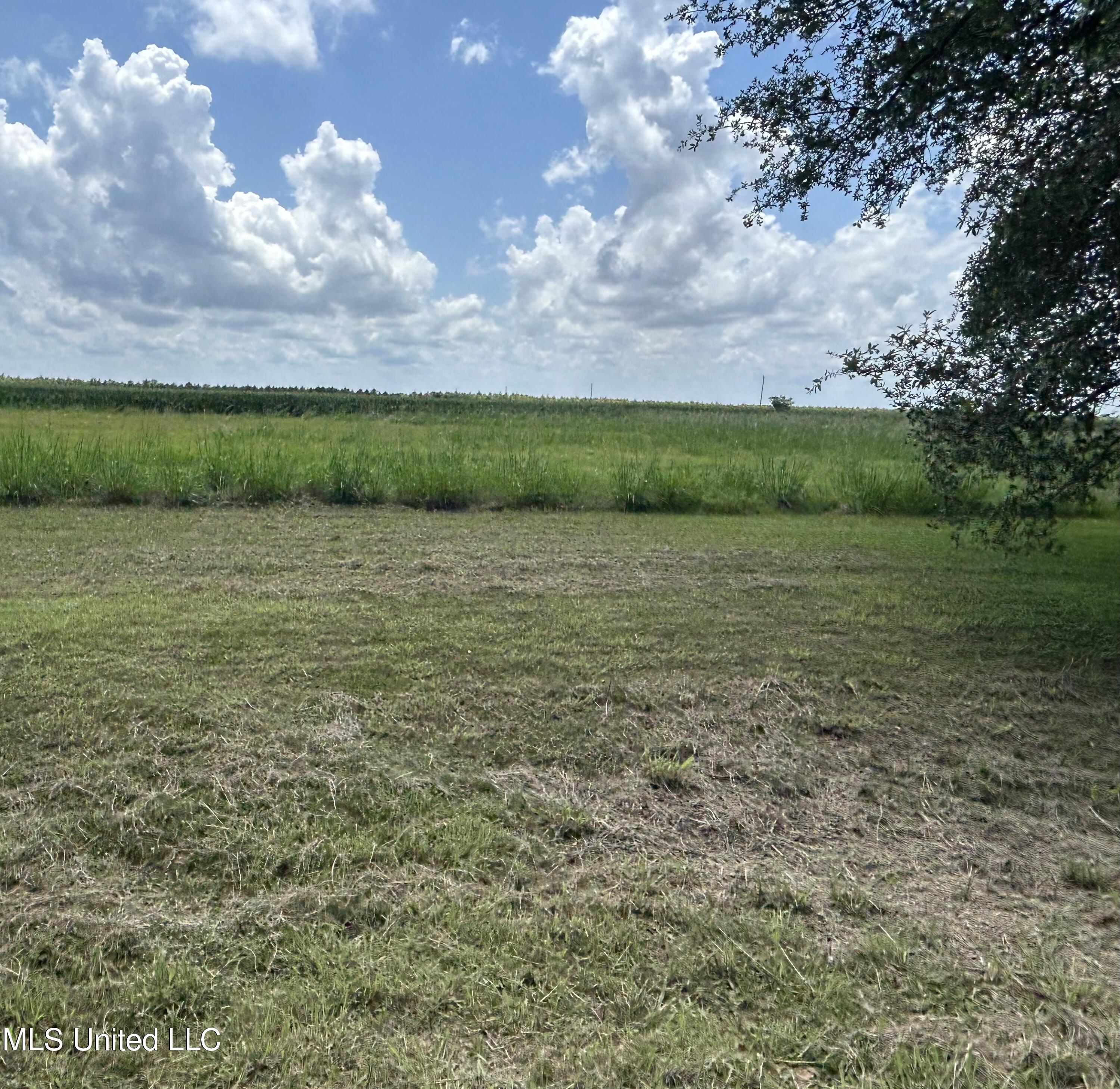 00 Hwy 569, Ferriday, Louisiana image 1