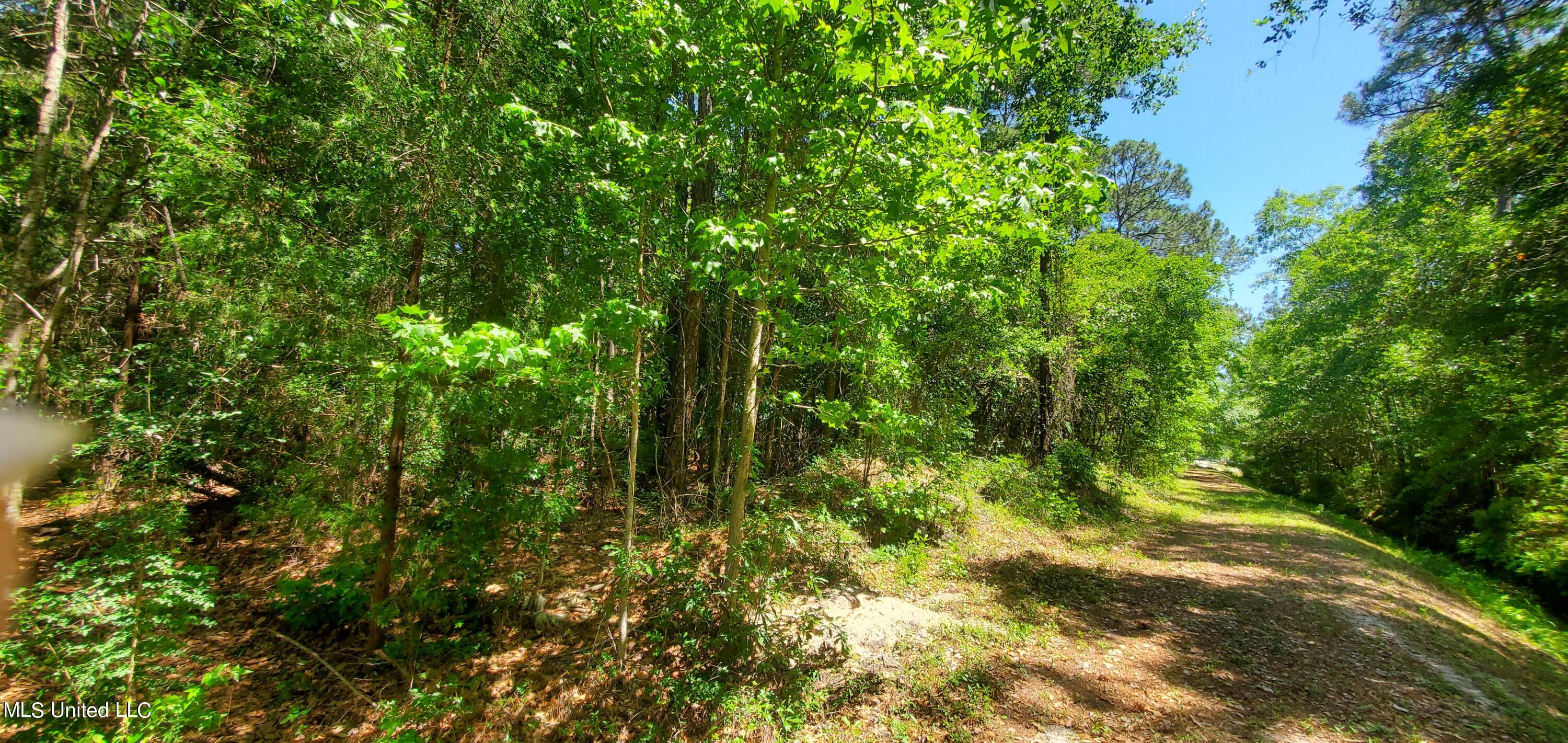 9th St Lot 2, Long Beach, Mississippi image 3