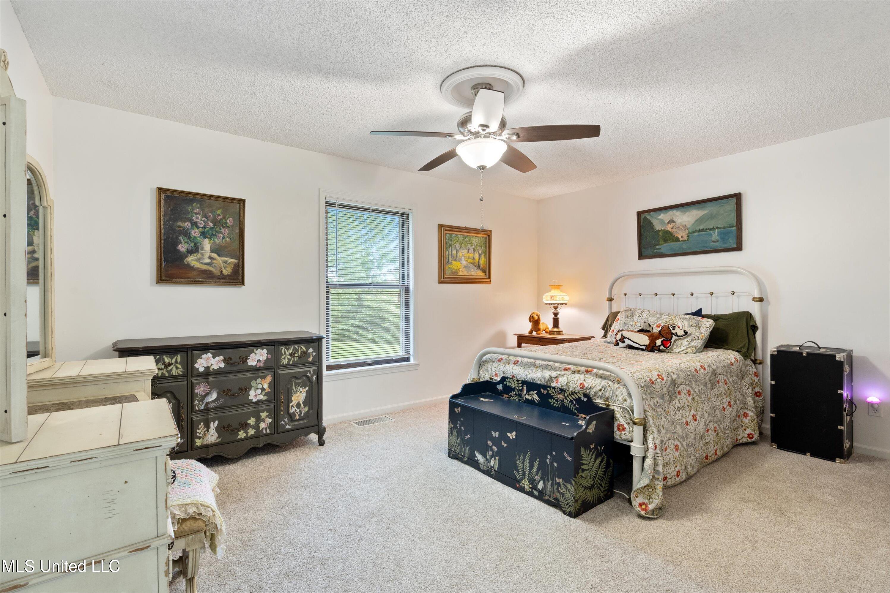 3067 Hwy 305, Olive Branch, Mississippi image 22