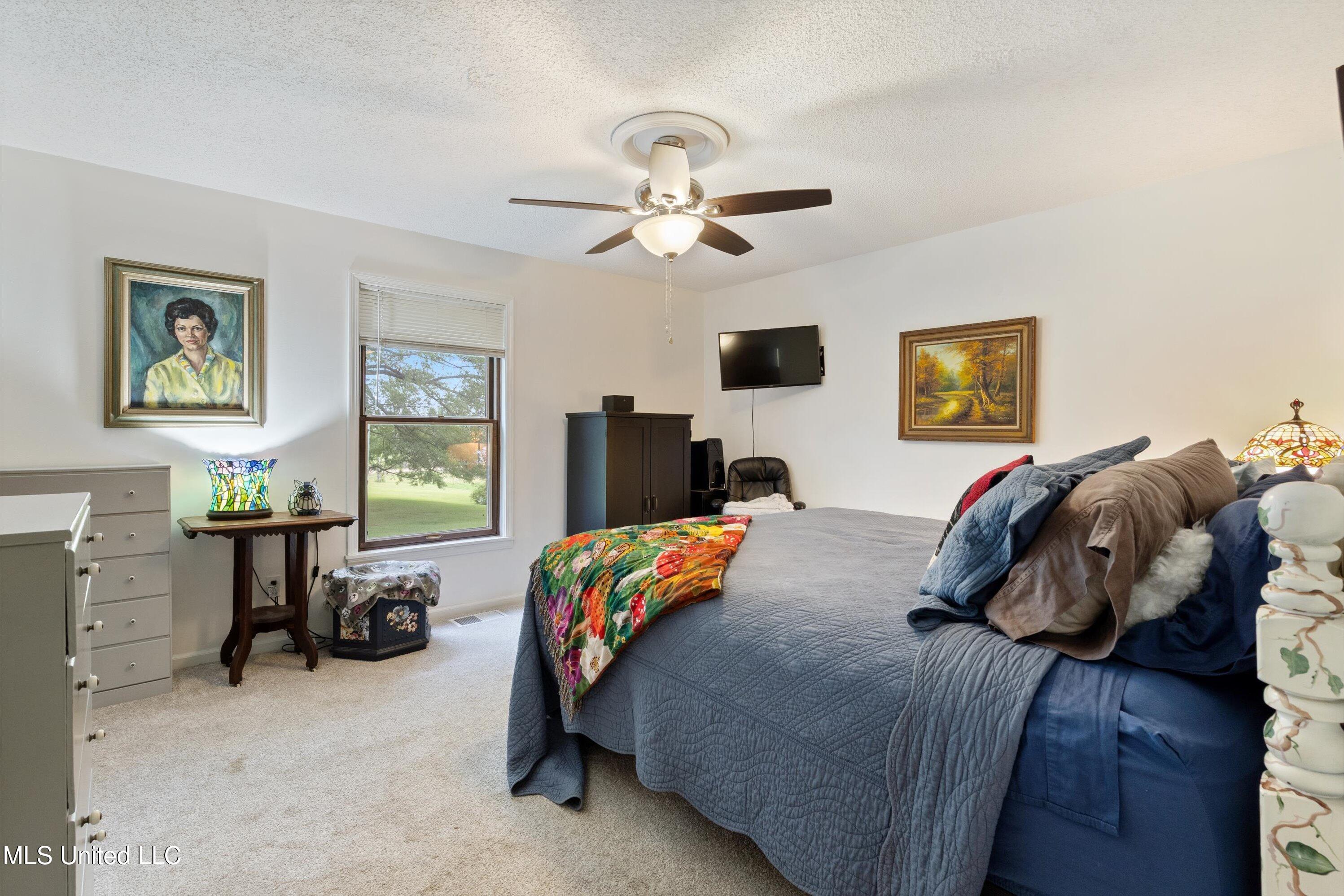 3067 Hwy 305, Olive Branch, Mississippi image 20