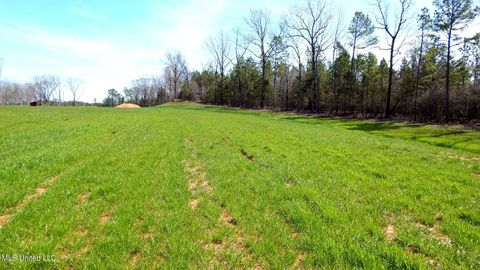 Vacant Land For Sale - 5 Graysport Crossing Road<br/> Gore Springs, MS 38929