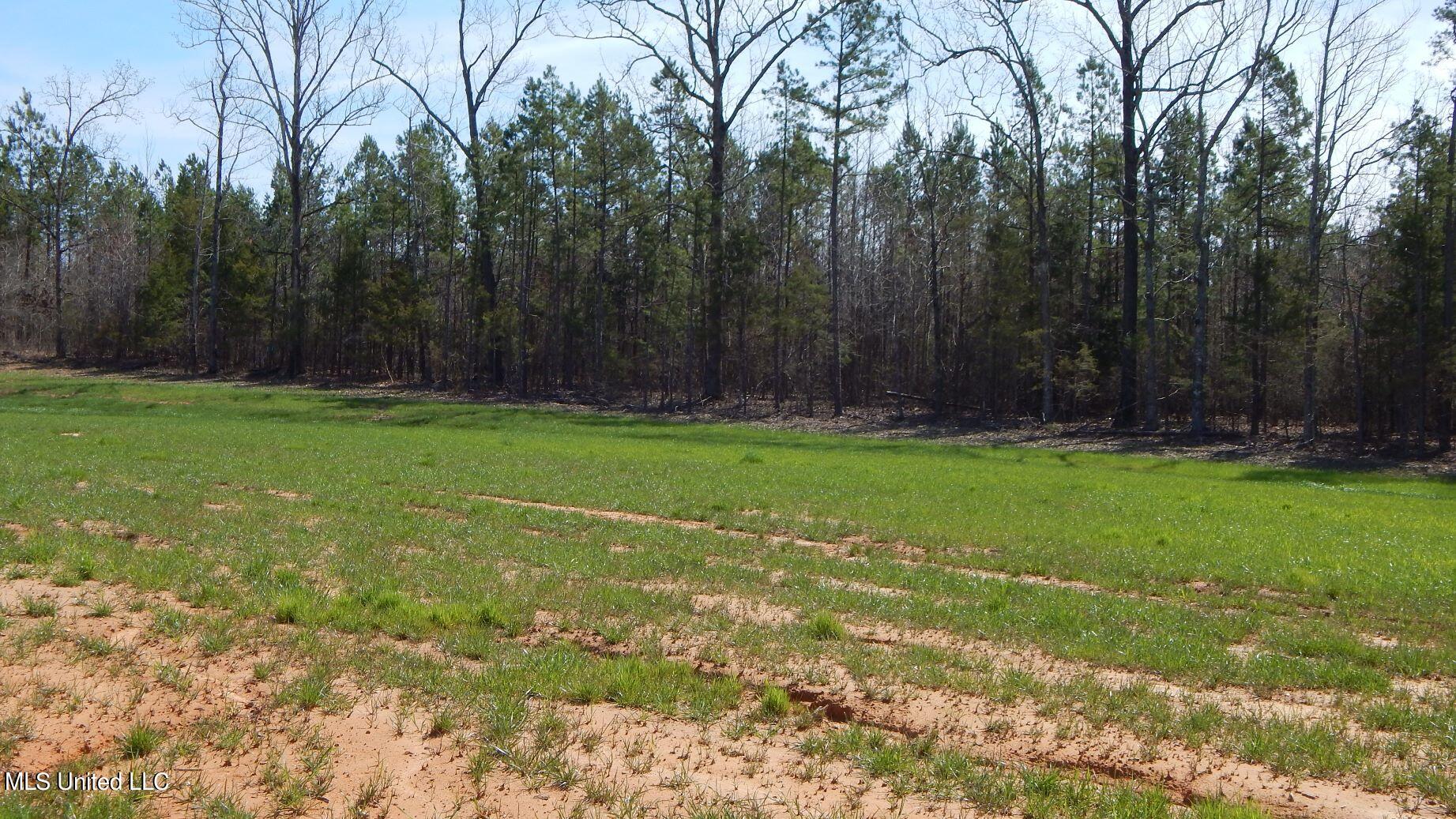 5 Graysport Crossing Road, Gore Springs, Mississippi image 3