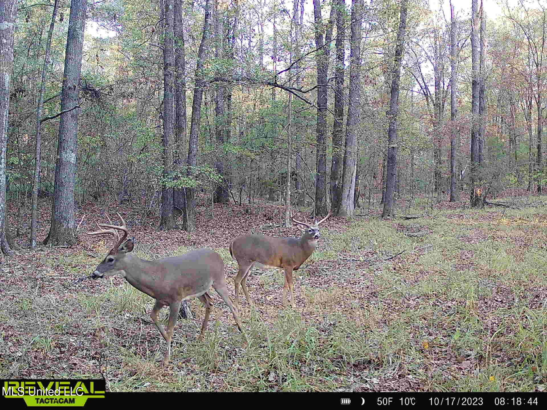 002 Hebron Road, Lexington, Mississippi image 16