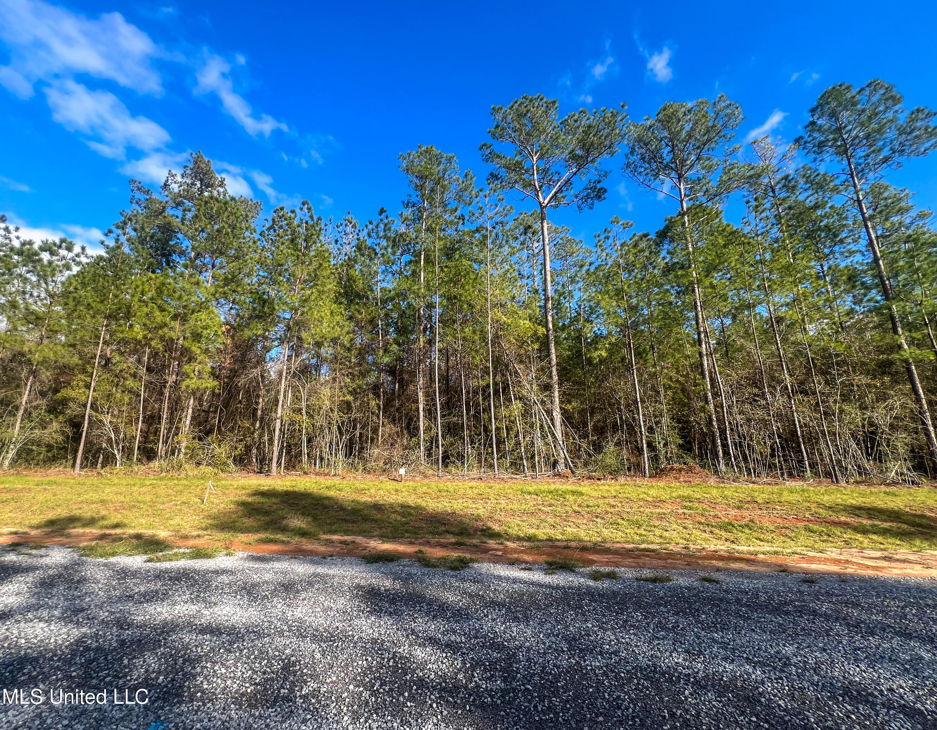 Lot 17 Pine Ridge Lane, Lucedale, Mississippi image 4