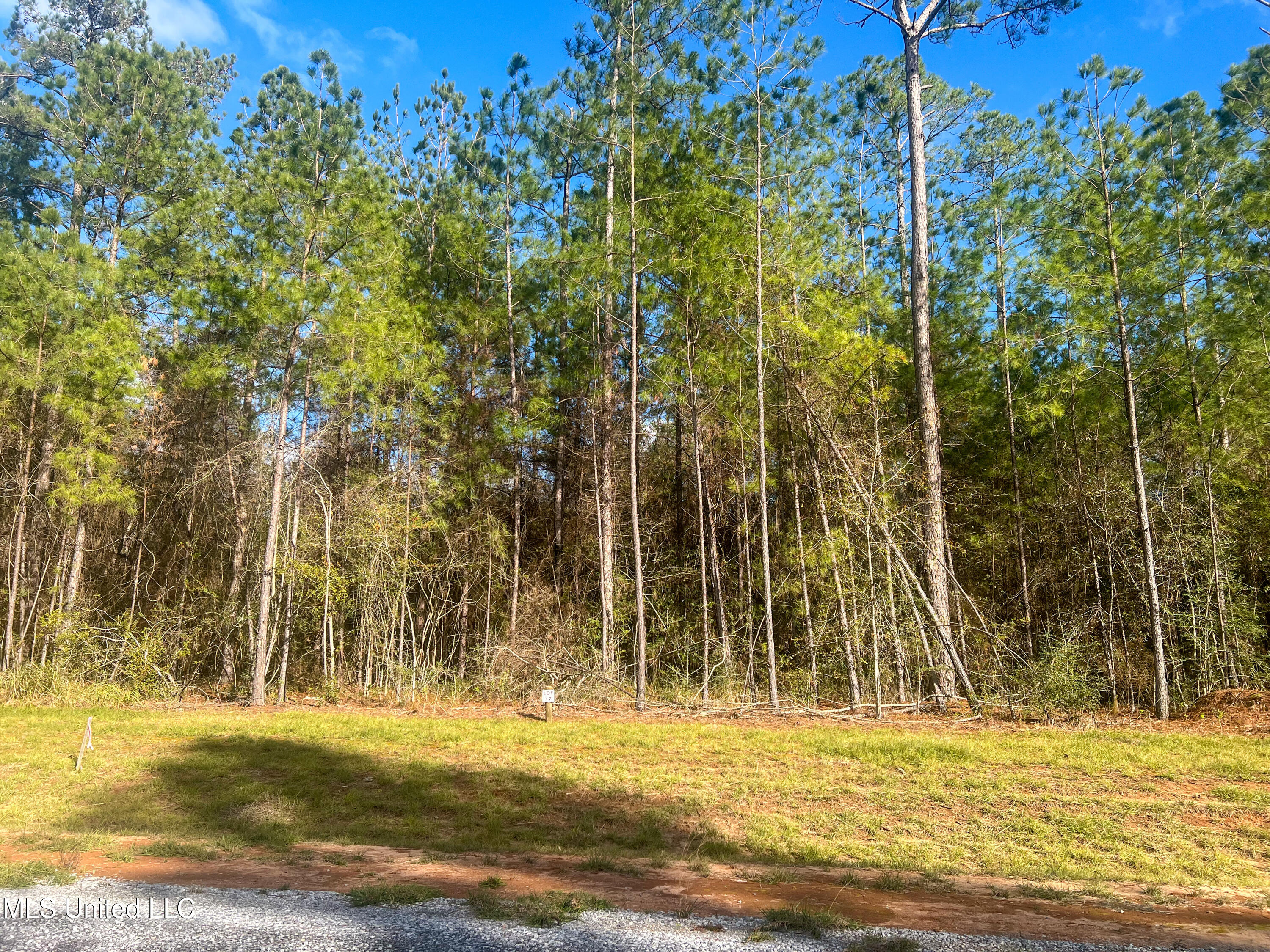 Lot 17 Pine Ridge Lane, Lucedale, Mississippi image 3