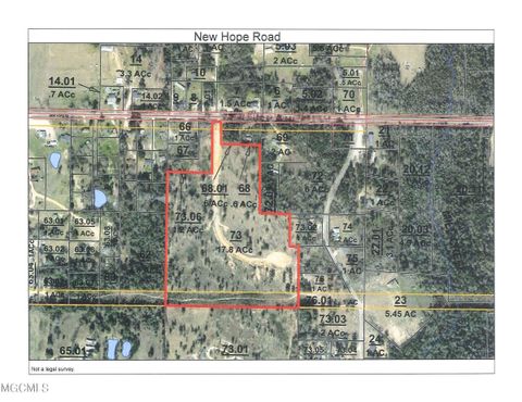 Vacant Land For Sale - New Hope Road<br/> Wiggins, MS 39577