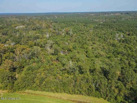 Vacant Land For Sale - Highway 28<br/> Mize, MS 39116