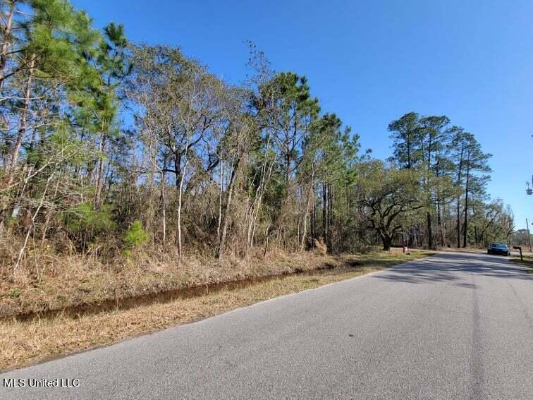 Wolf Street, Waveland, Mississippi image 4