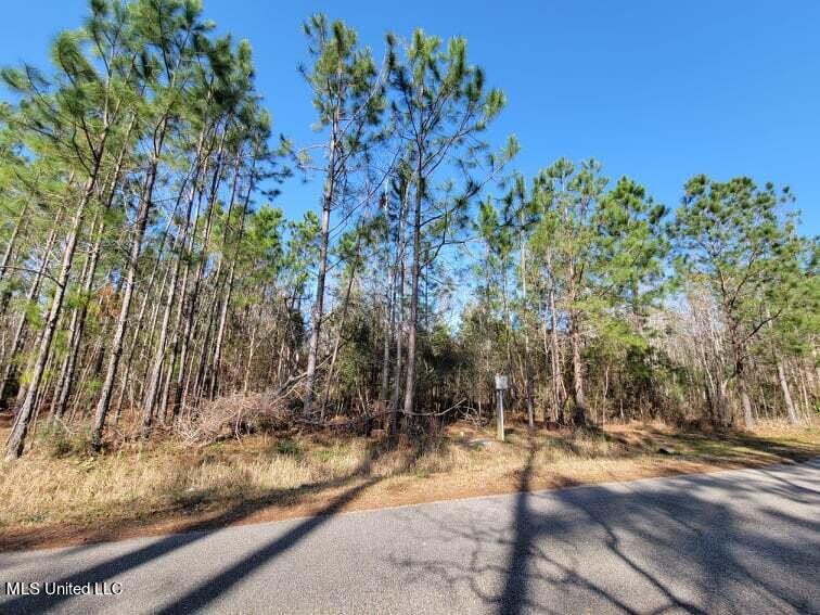 Wolf Street, Waveland, Mississippi image 7