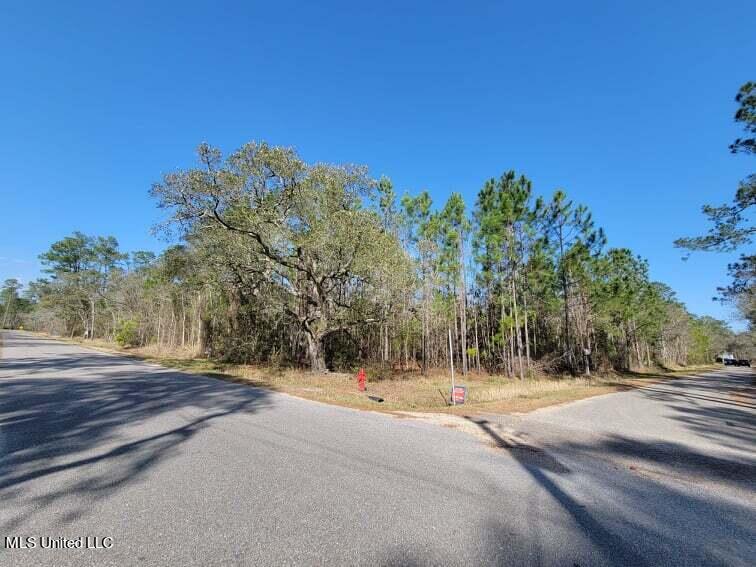 Wolf Street, Waveland, Mississippi image 5