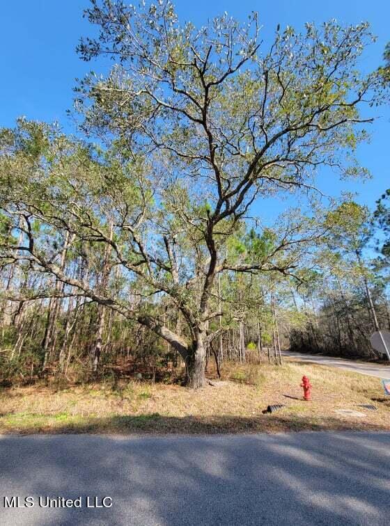 Wolf Street, Waveland, Mississippi image 12