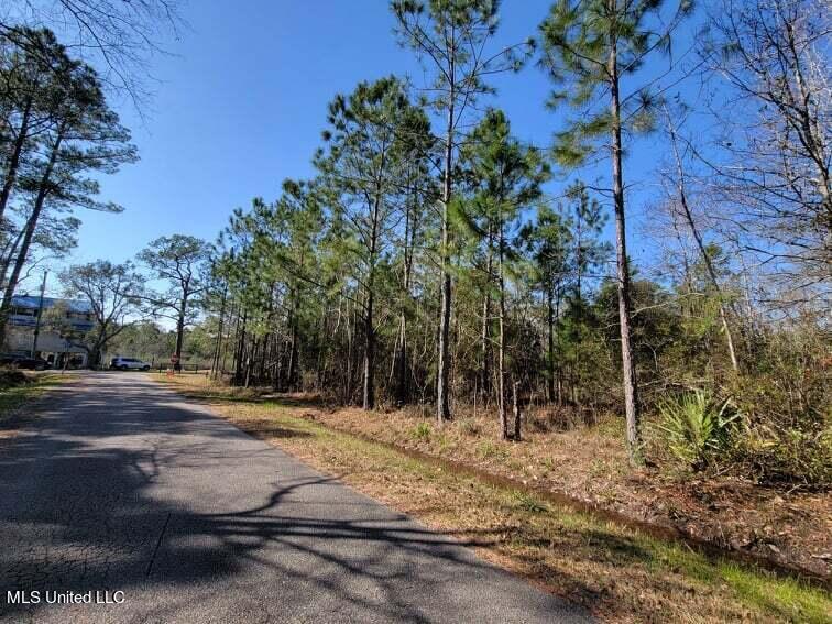 Wolf Street, Waveland, Mississippi image 10