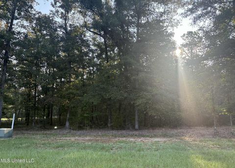Vacant Land For Sale - 00 Shire Avenue<br/> Forest, MS 39074
