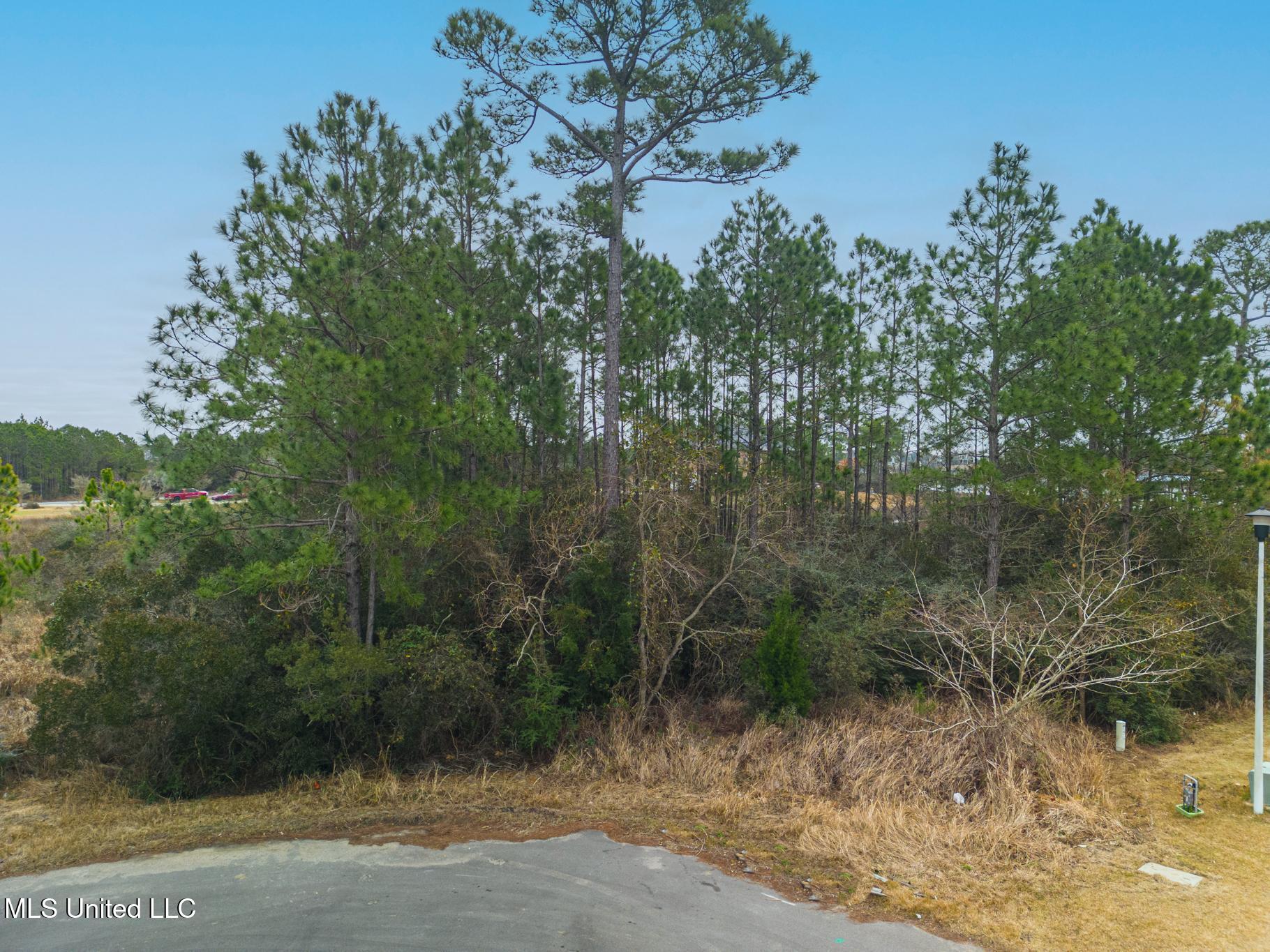 Seawinds Boulevard, Biloxi, Mississippi image 8