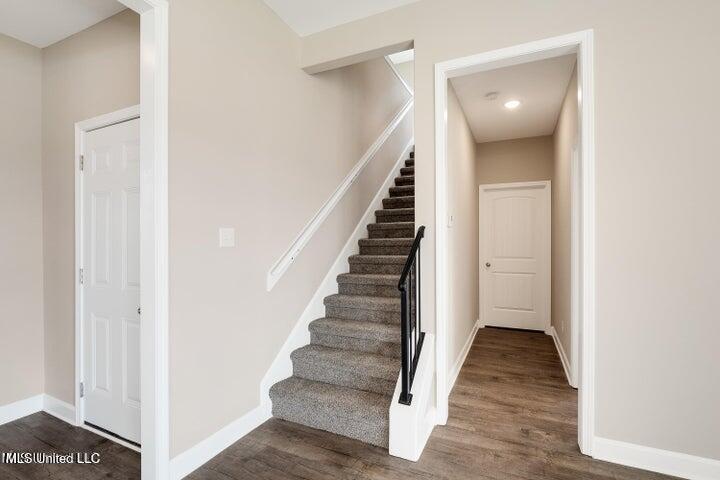 10203 March Meadows Way Way, Olive Branch, Mississippi image 16