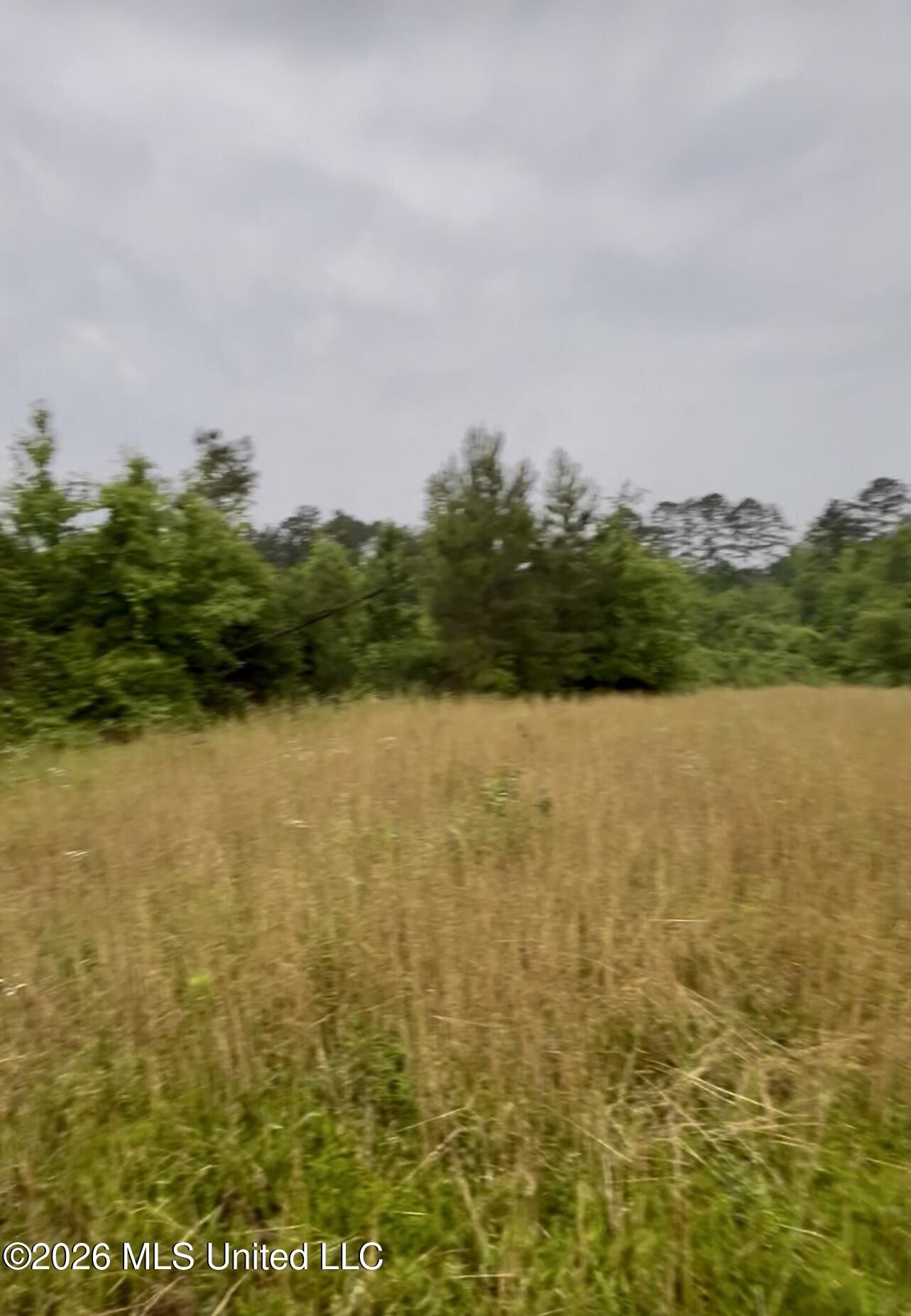 Ferguson Mill Road