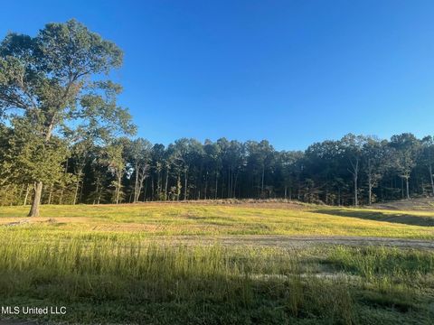Vacant Land For Sale - 9 Plank Road<br/> Desoto County, Hernando, MS 38632