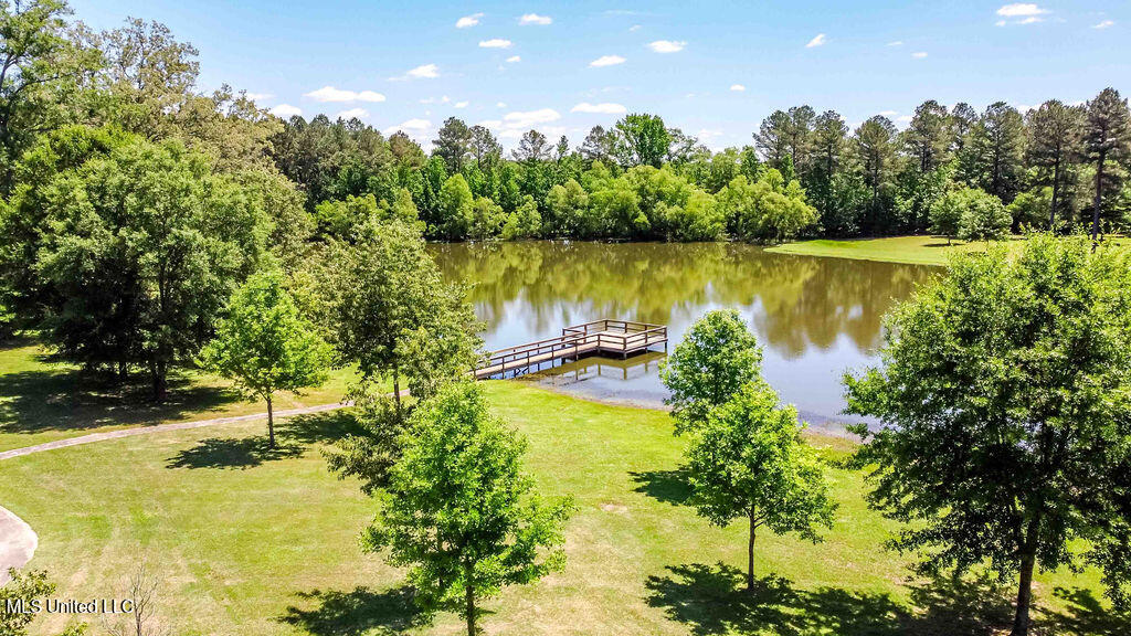 112 Blackberry Creek Road, Flora, Mississippi image 8