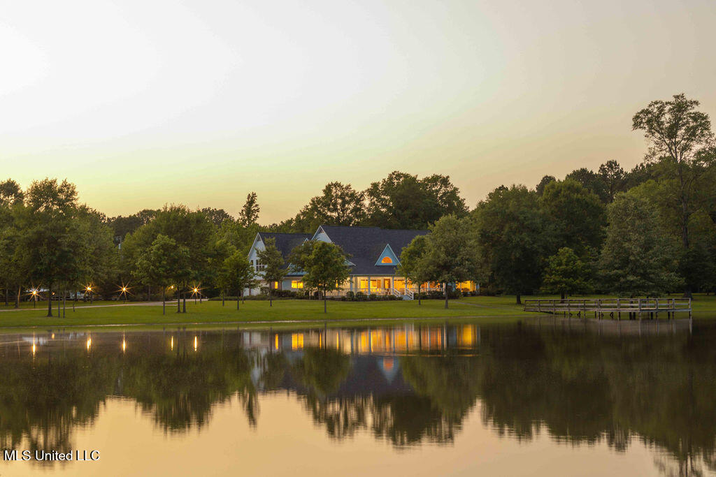 112 Blackberry Creek Road, Flora, Mississippi image 4