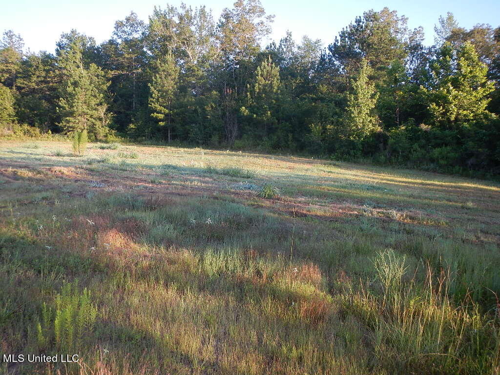 3200 Hopewell Road, Harrisville, Mississippi image 7