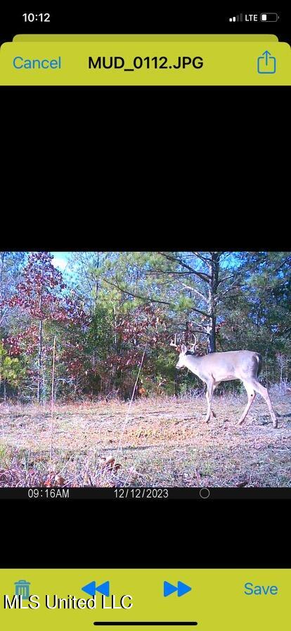 3200 Hopewell Road, Harrisville, Mississippi image 38