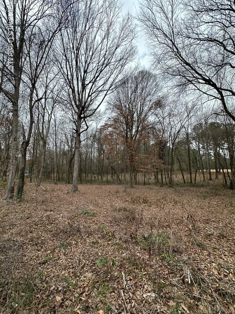 Vacant Land For Sale - 00 Futch Road<br/> Scott County, Forest, MS 39074