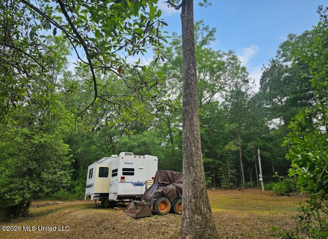 222 Lavelle Odom Road