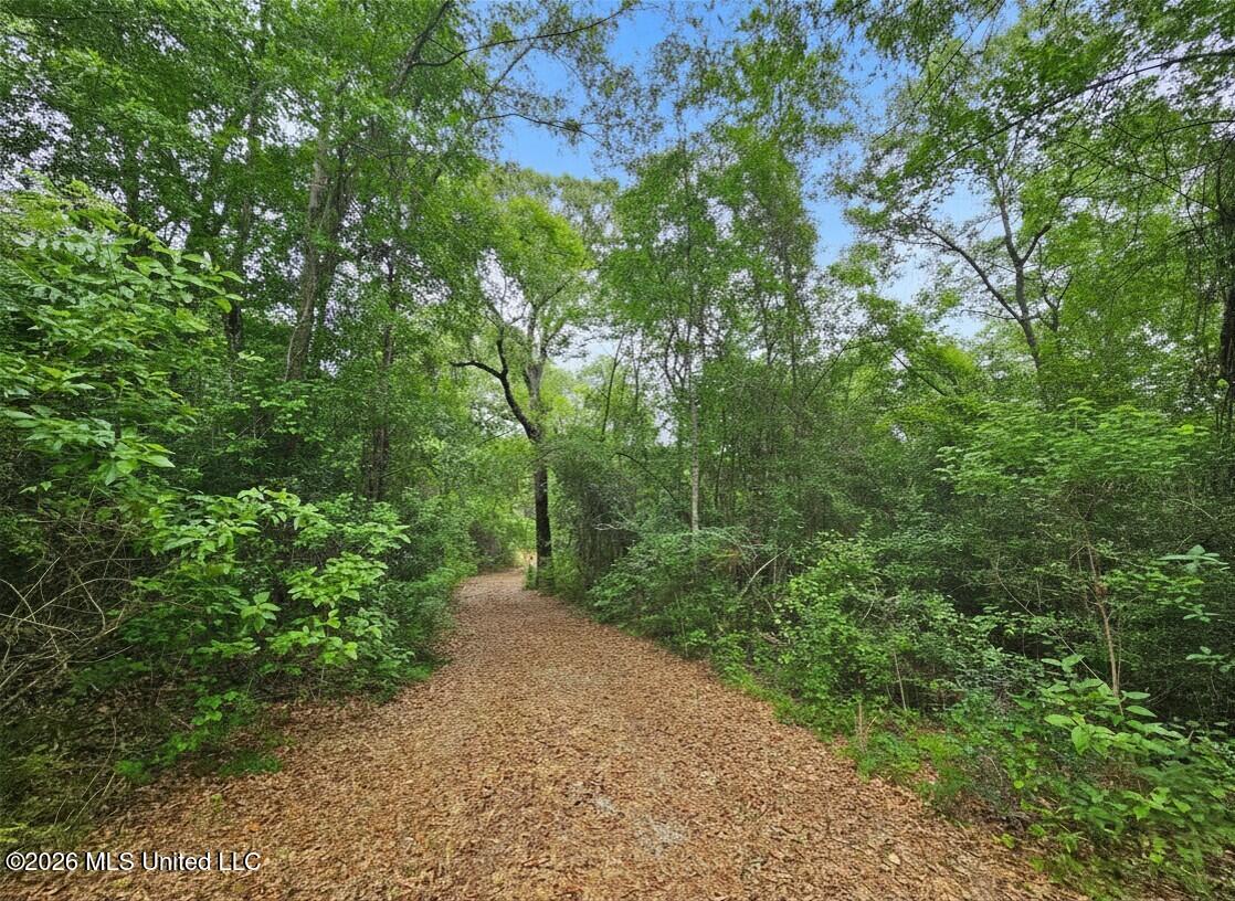 222 Lavelle Odom Road