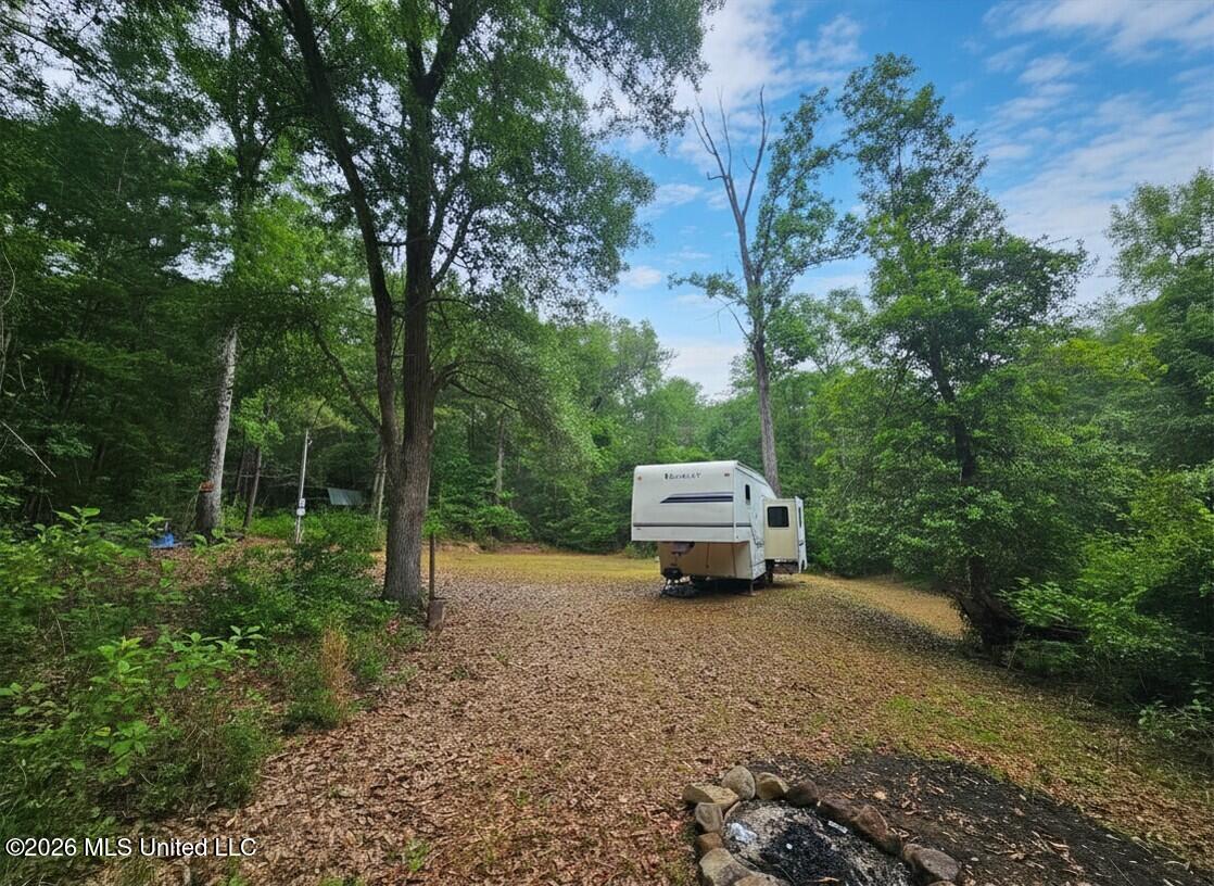 222 Lavelle Odom Road
