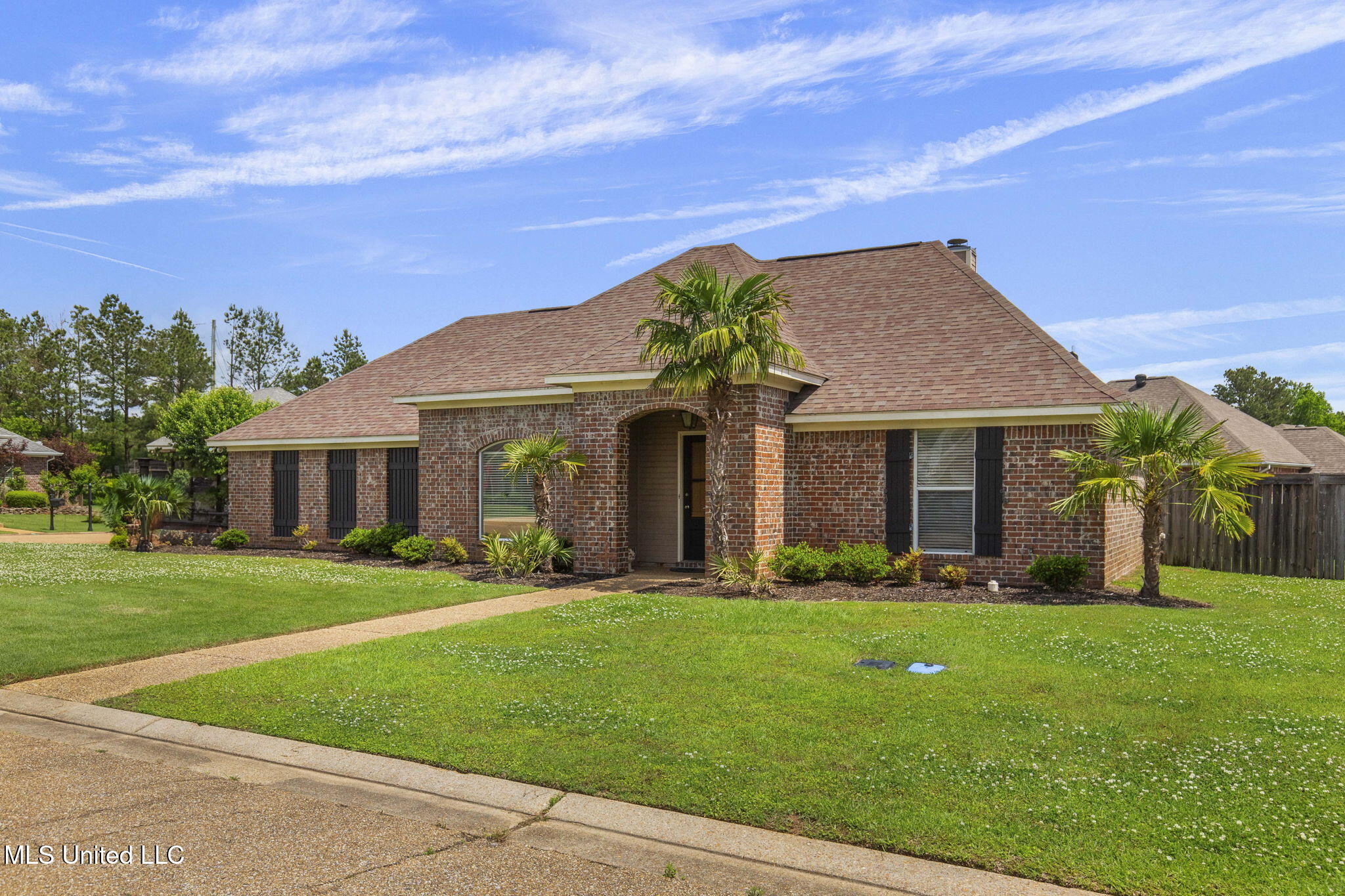 441 Wildberry Circle, Pearl, Mississippi image 3