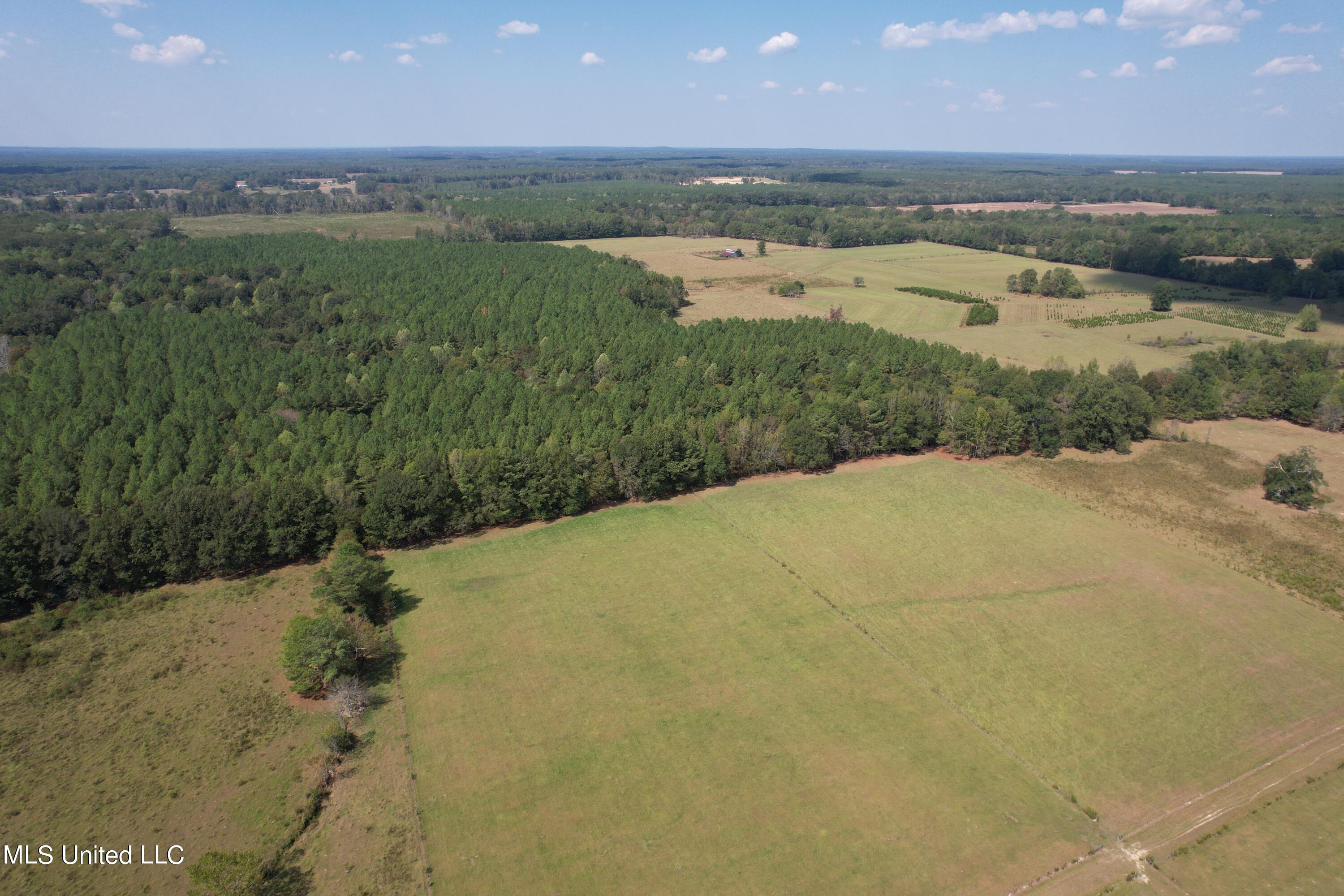 Harrell Road, Pelahatchie, Mississippi image 11