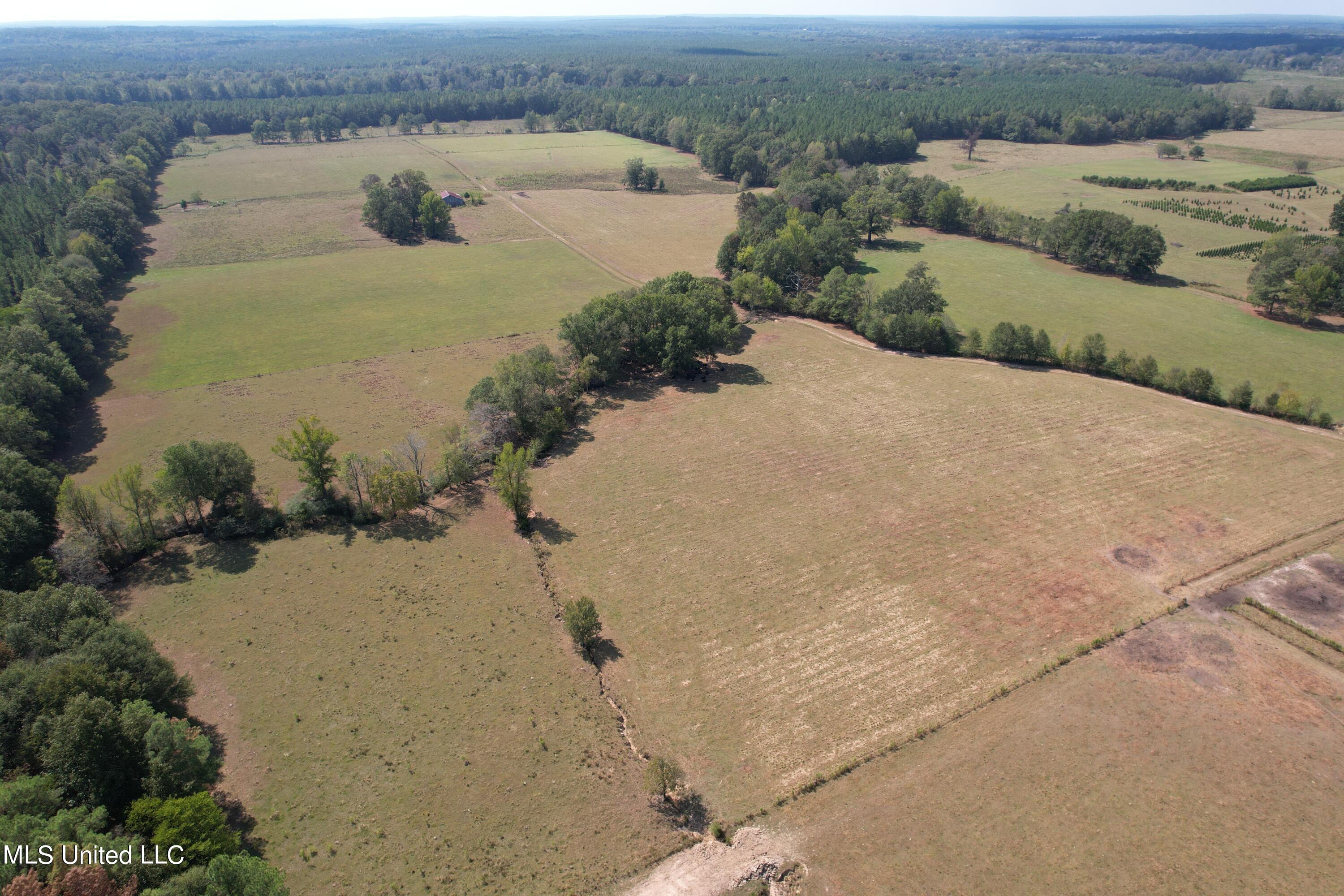 Harrell Road, Pelahatchie, Mississippi image 4