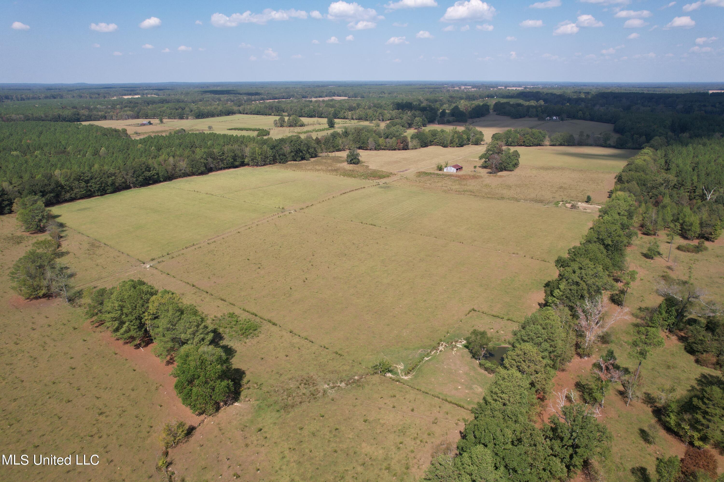 Harrell Road, Pelahatchie, Mississippi image 10