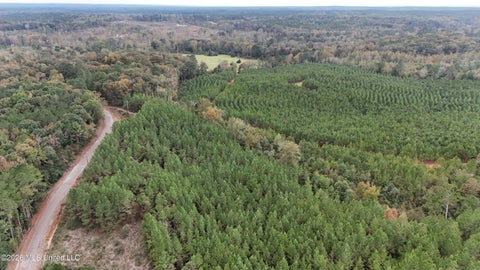 Vacant Land For Sale - Remus Road<br/> Leake County, Carthage, MS 39051