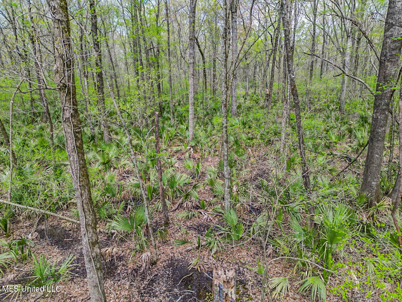 4001 Highway 65, Clayton, Louisiana image 9