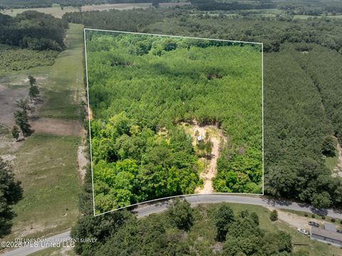 Vacant Land For Sale - 31 ACRES Ridgeland Road<br/> Bassfield, MS 39421