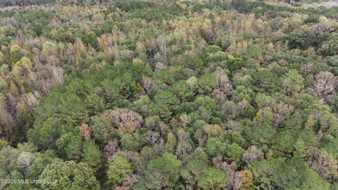 Vacant Land For Sale - Remus Road<br/> Carthage, MS 39051
