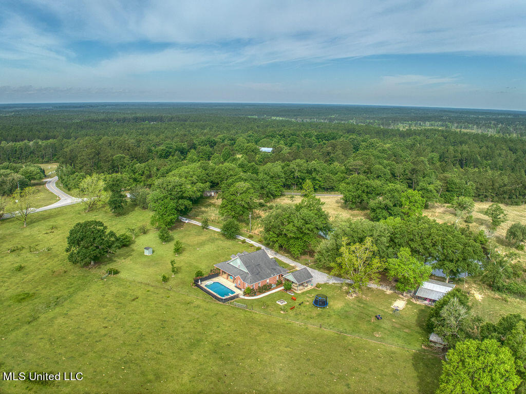 10020 Wire Road, Vancleave, Mississippi image 4