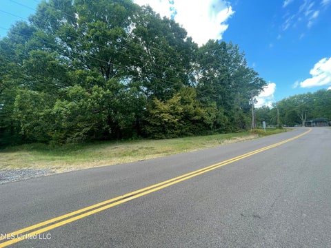Vacant Land For Sale - Sequoyah Drive<br/> Hernando, MS 38632