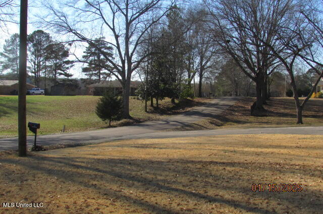 36 Whaley Drive, Potts Camp, Mississippi image 28