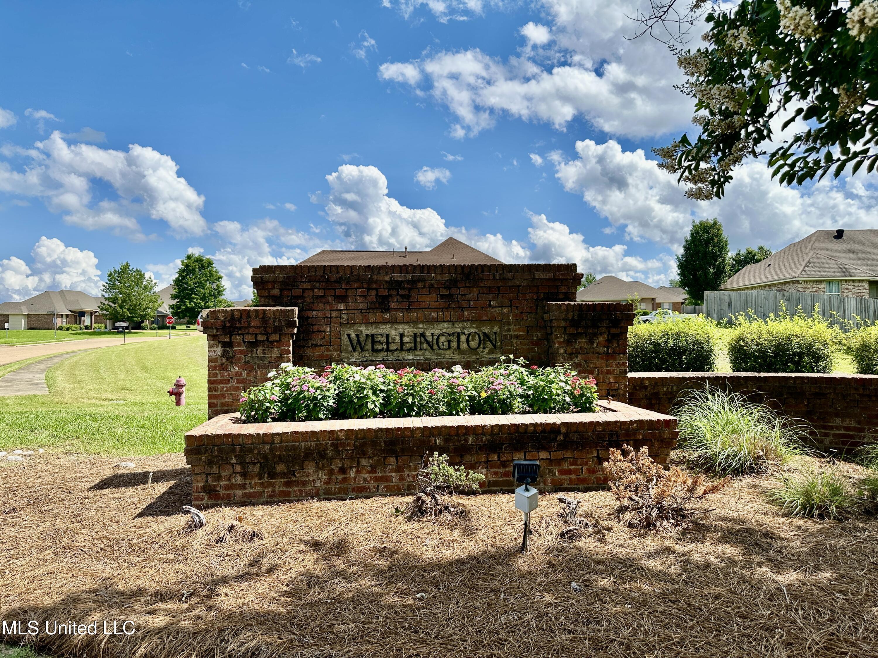 172 Lakeway Drive, Madison, Mississippi image 27