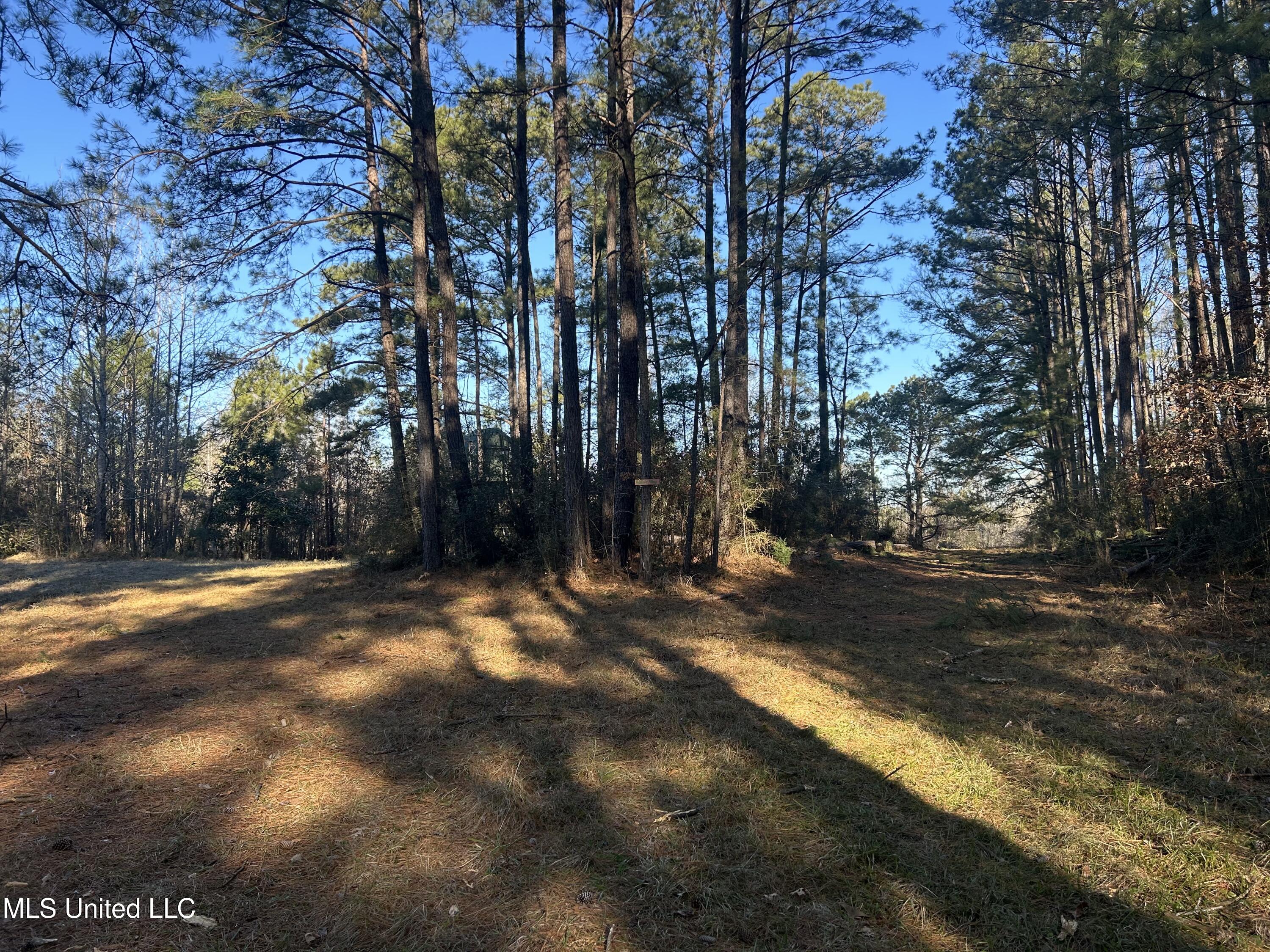Willie Neyland Road Road, Centreville, Mississippi image 48