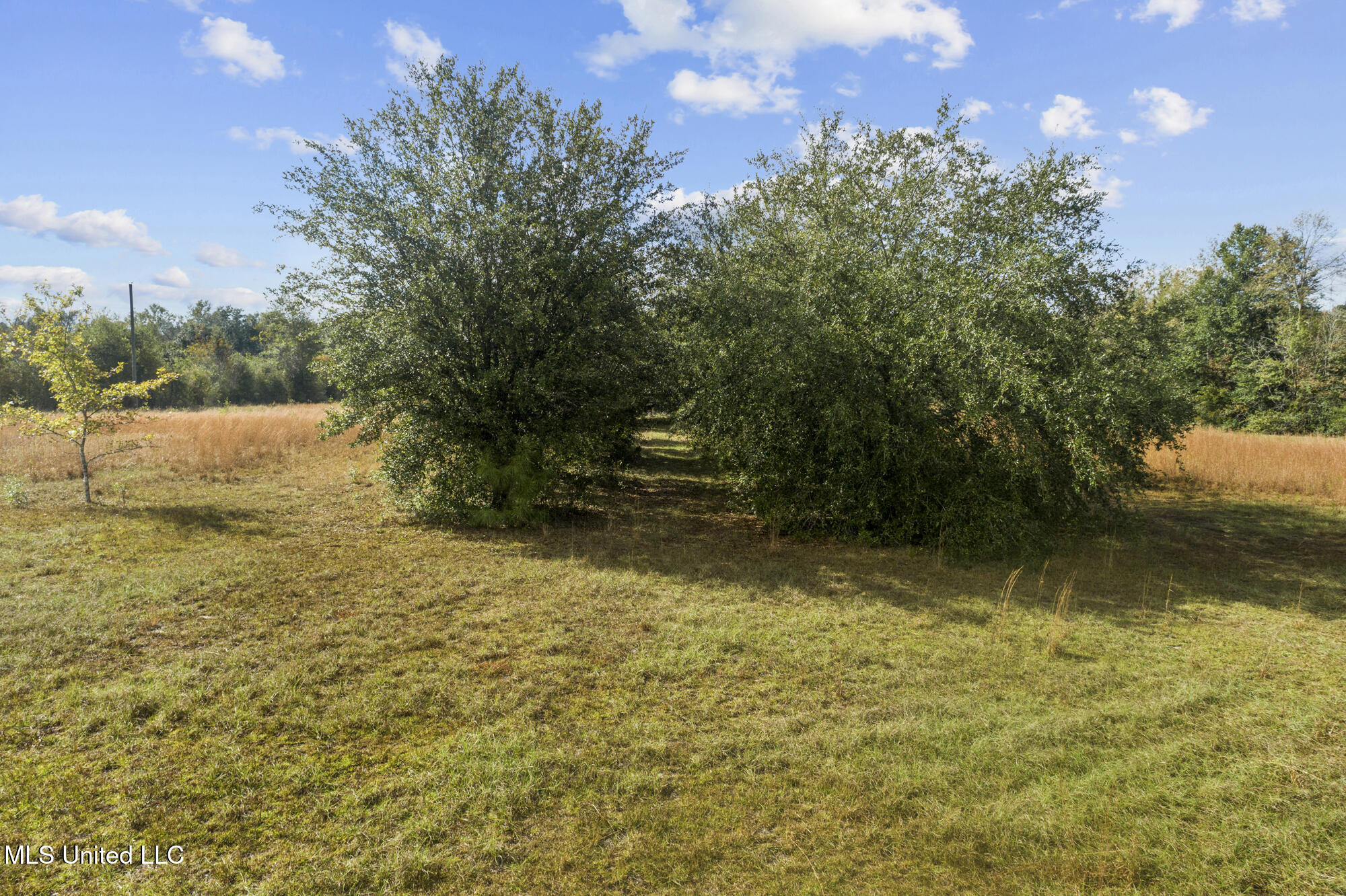 Na Waterwell Road, Lucedale, Mississippi image 9