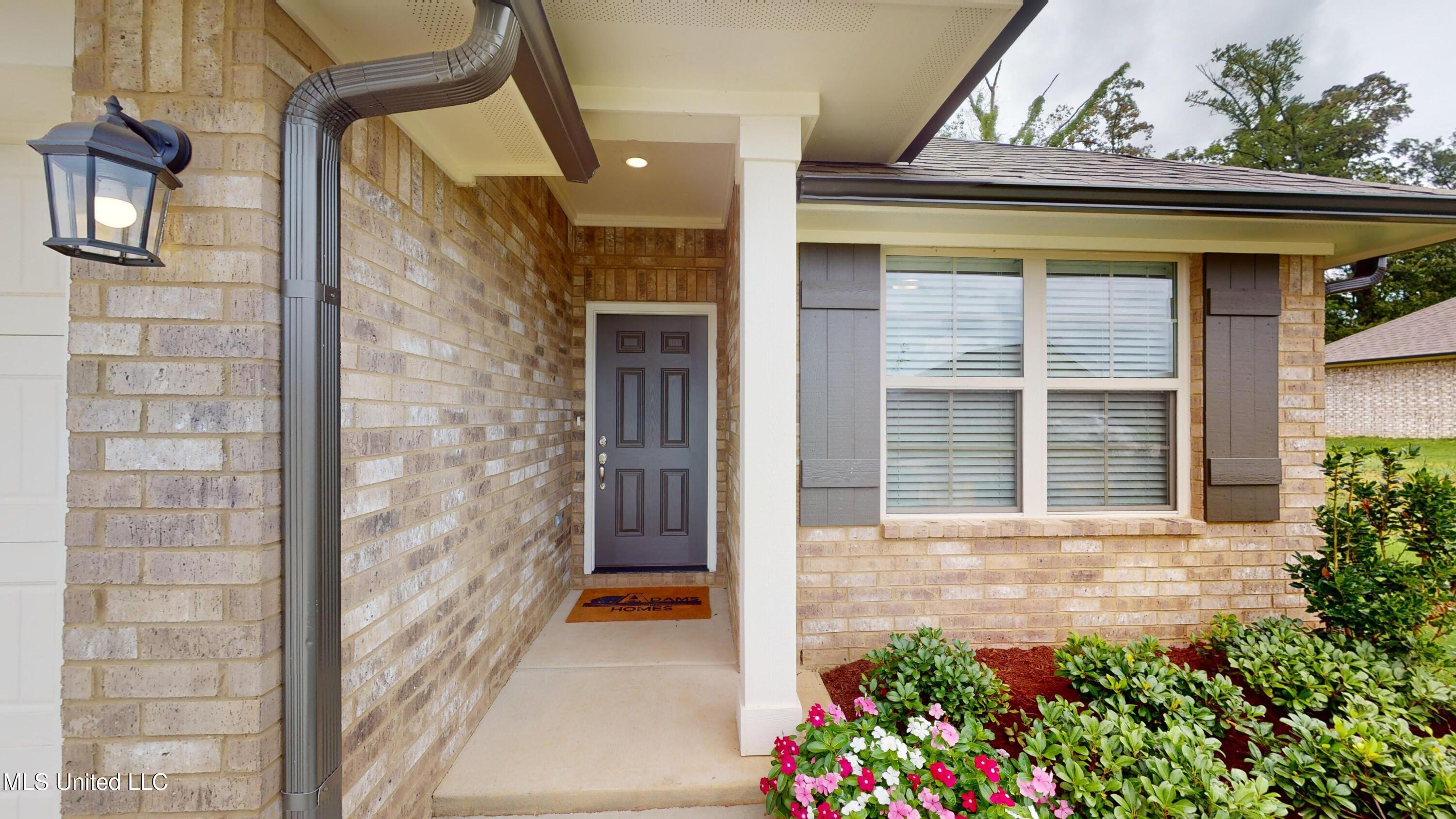 7913 Gardendale Drive, Olive Branch, Mississippi image 4