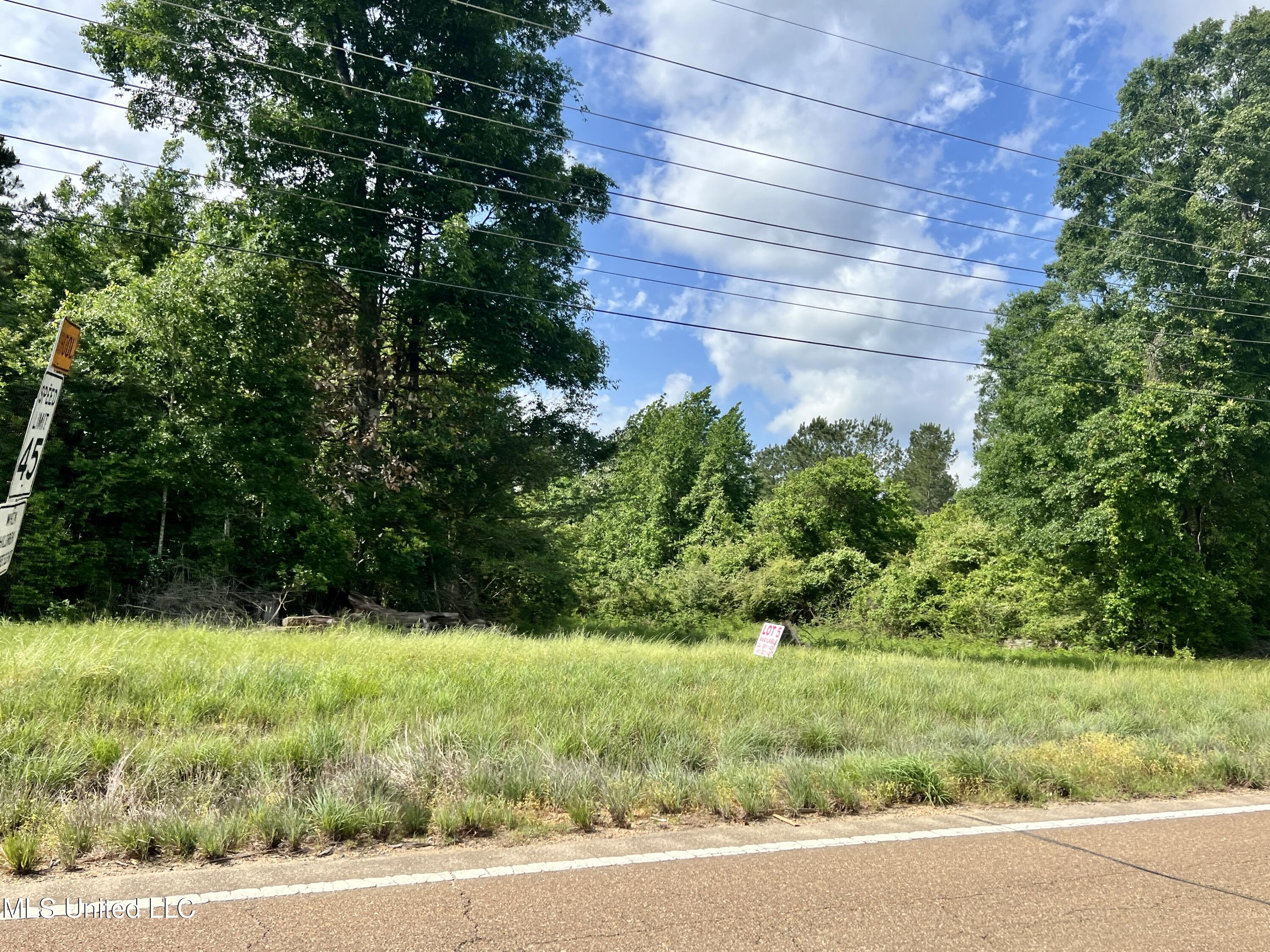 Lot 6 Hwy 24, Centreville, Mississippi image 1