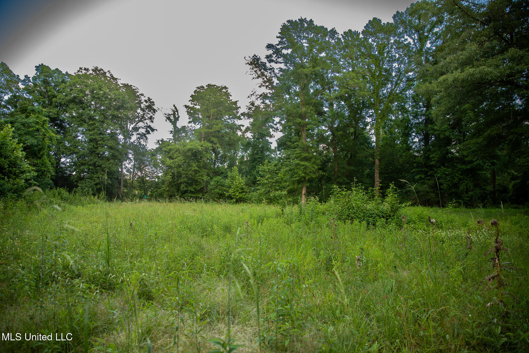 11490 Vaughan Road, Vaughan, Mississippi image 42