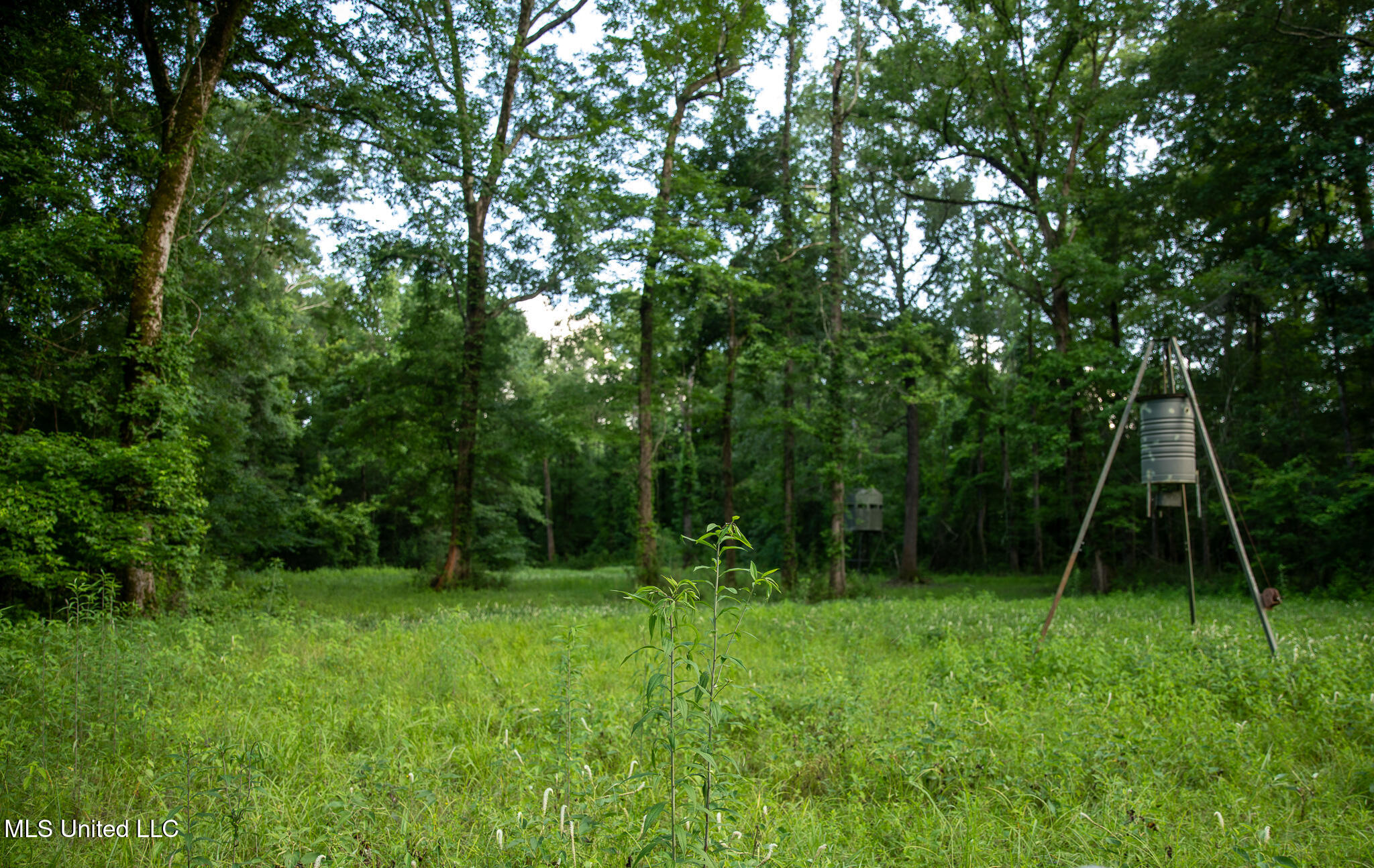 11490 Vaughan Road, Vaughan, Mississippi image 44